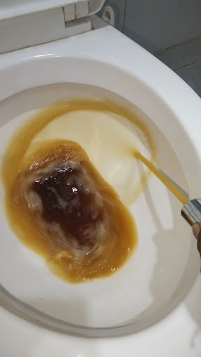 Photo from customer review